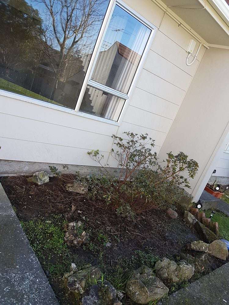 31E Pharazyn Street Melling_1