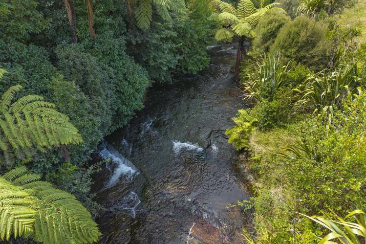 165 Adler Drive Ohauiti_6