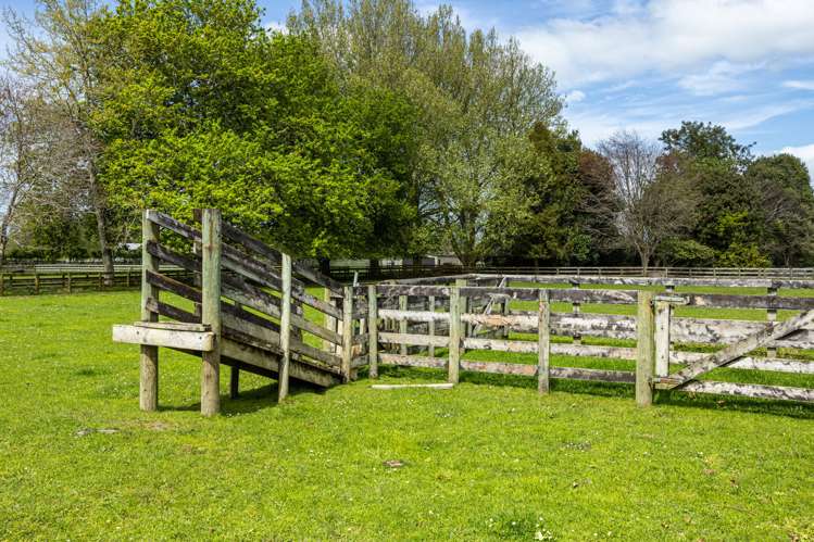 1212 Kaipaki Road Cambridge_22