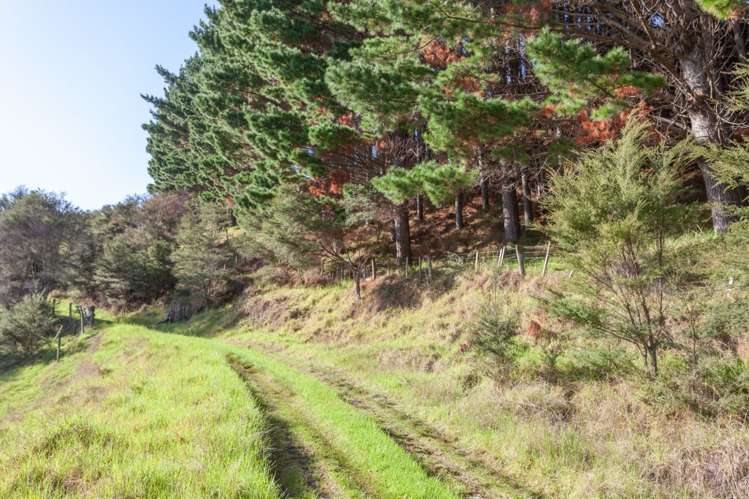 157 Parakiwai Quarry Road Whangamata_22