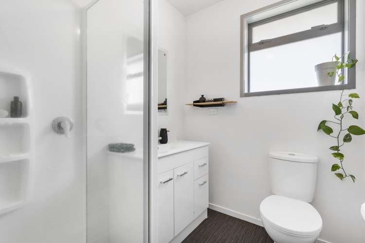 18a Holly Street Avondale_9