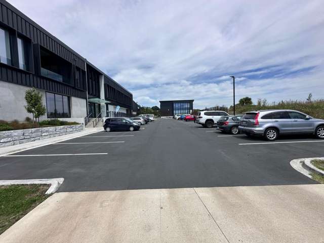 230 Seventeenth Avenue Tauranga Central_1