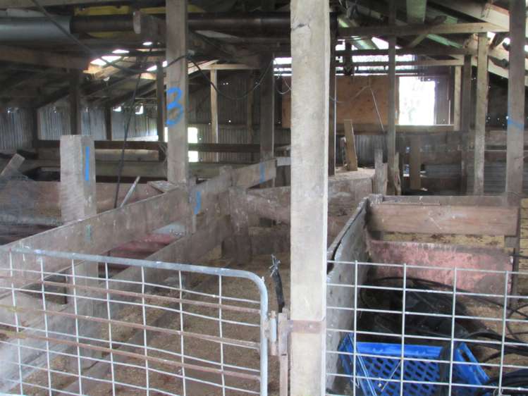 1162 Te Aroha-Gordon Road Manawaru_19