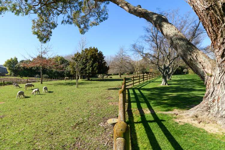 36 Arnott Street Feilding_21