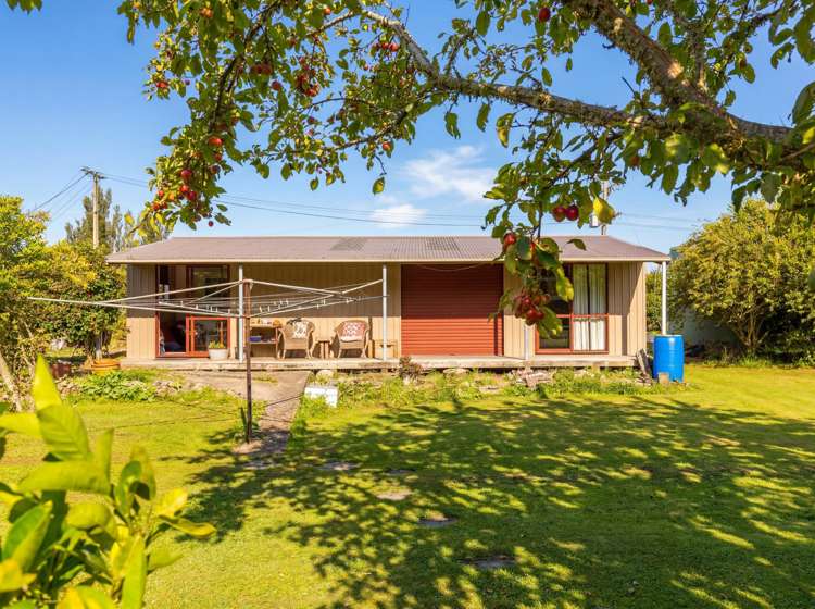 317 Wood Street Greytown_18