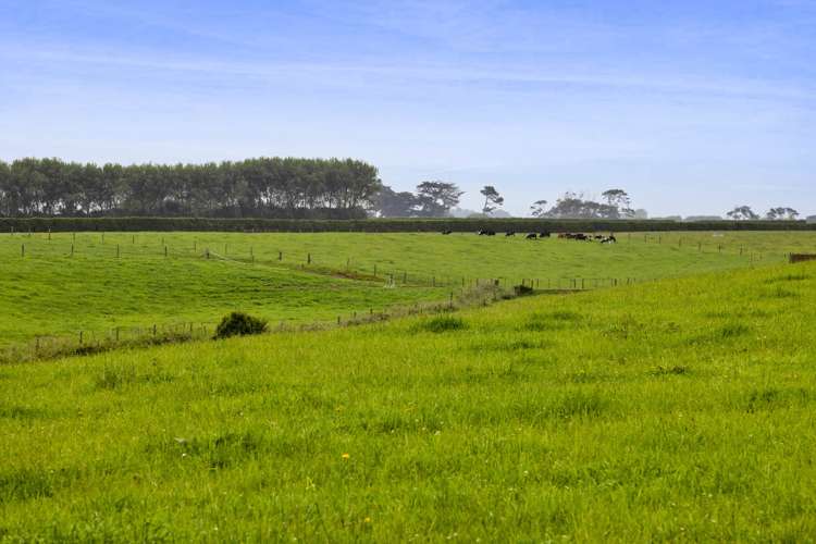 256 Lower Stuart Road Eltham_8