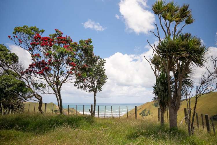 44 J Irwin Road Waiuku_13