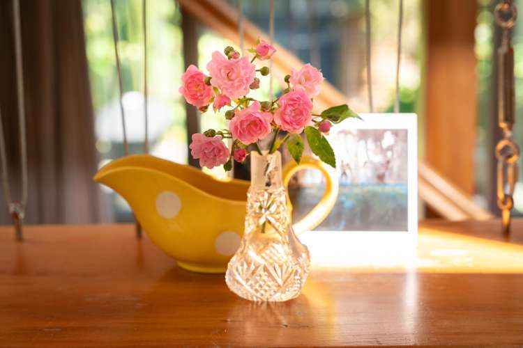 19 Moir Street Mount Victoria_17