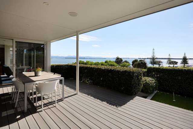 145 Waratah Street Matua_2