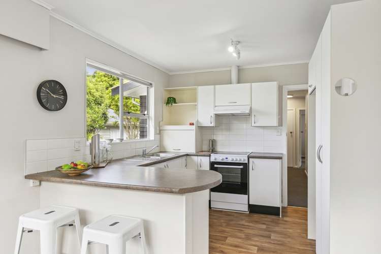 137 Awarua Street Ngaio_8