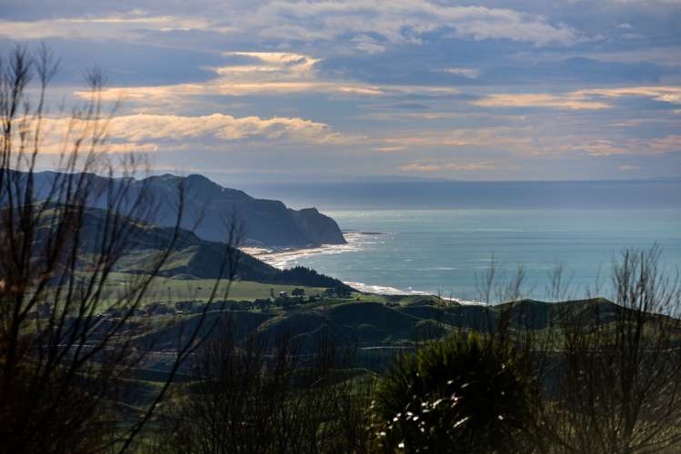 1504 Waimarama Road Waimarama_7