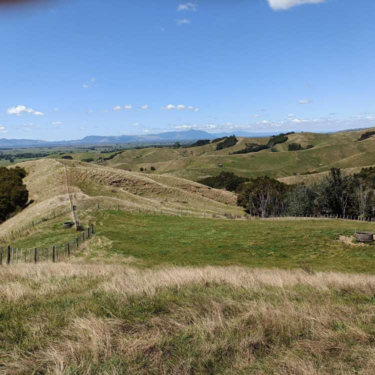 149B Torehape Road Kaihere_8