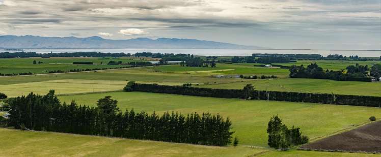 Leeston Road Doyleston_3