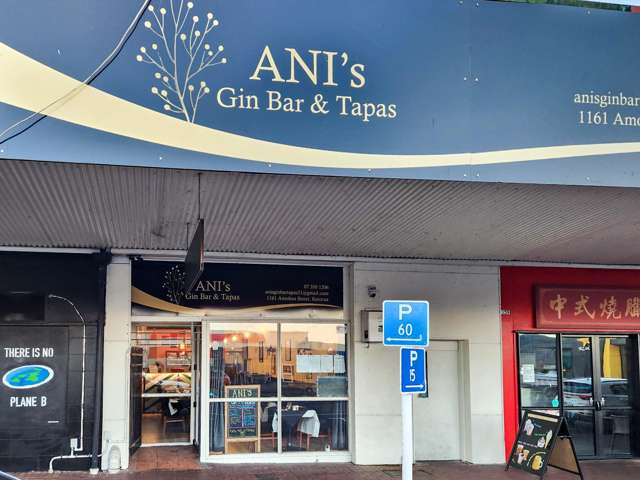 1161 Amohau Street Rotorua_2