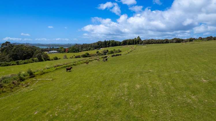 111 Magnolia Tree Way Kerikeri_4