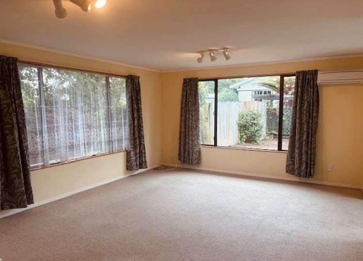 55C Colemans Road Springlands_5