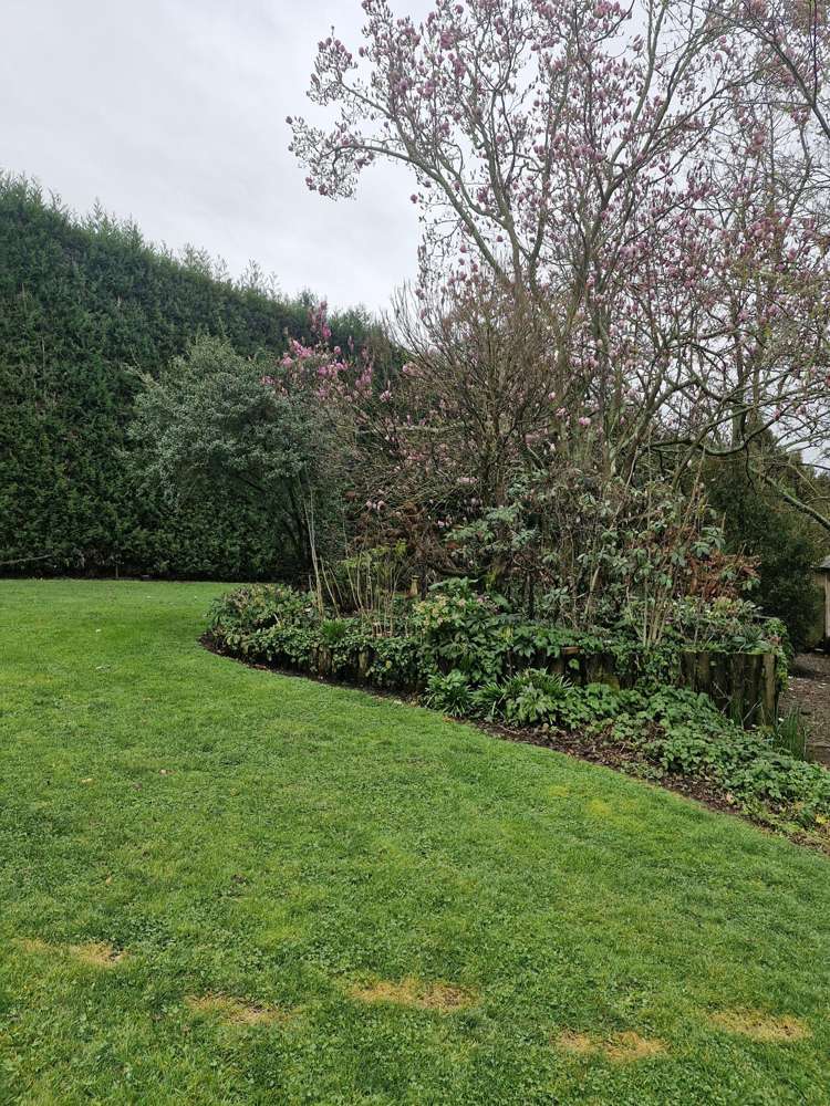 168 Te Kawa Road Te Awamutu_30