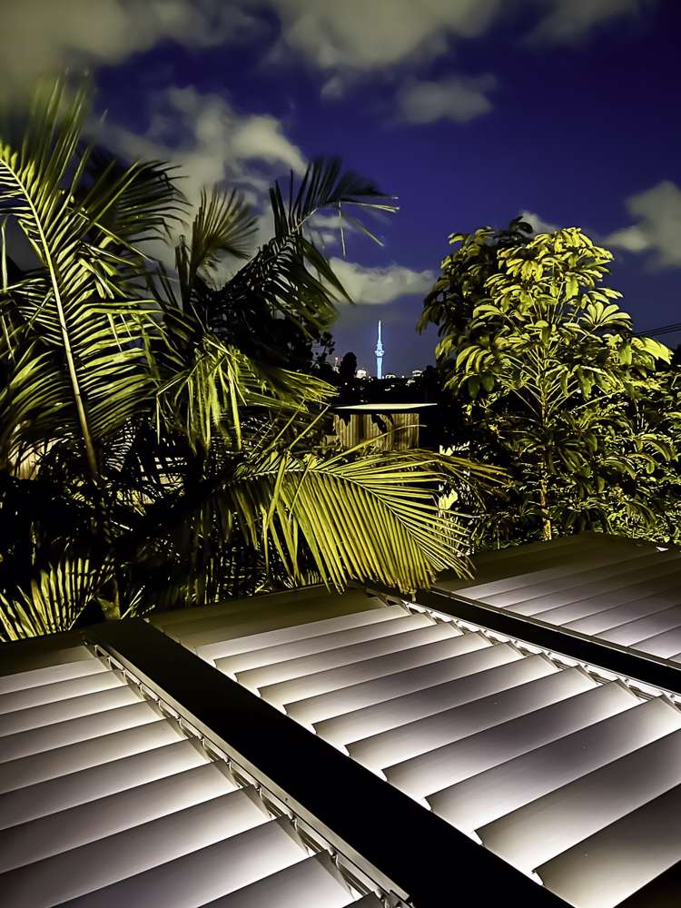 20a Webber Street Westmere_18