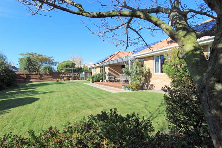 11a Forest Park Drive Witherlea_17