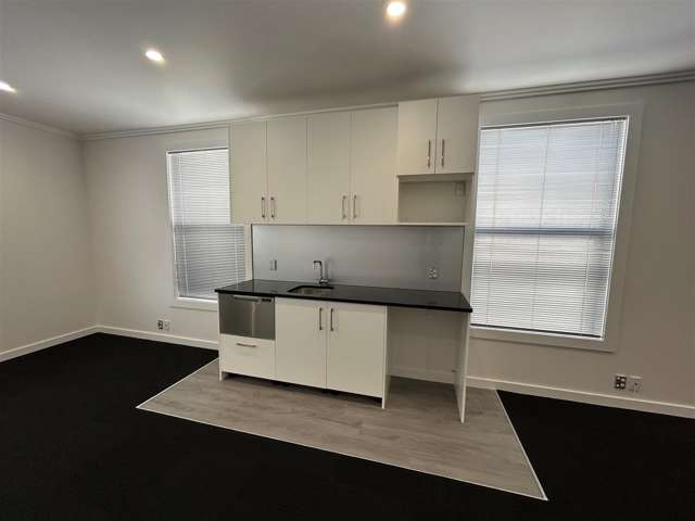 584 Great North Road Grey Lynn_1