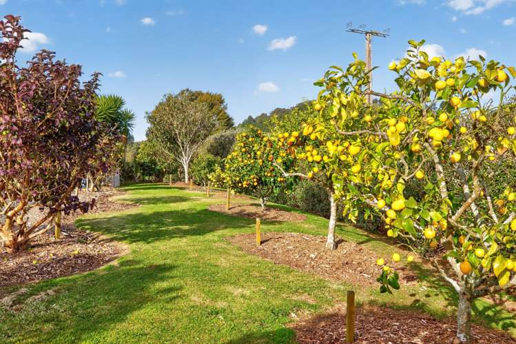 157E Kaiate Falls Road Welcome Bay_33