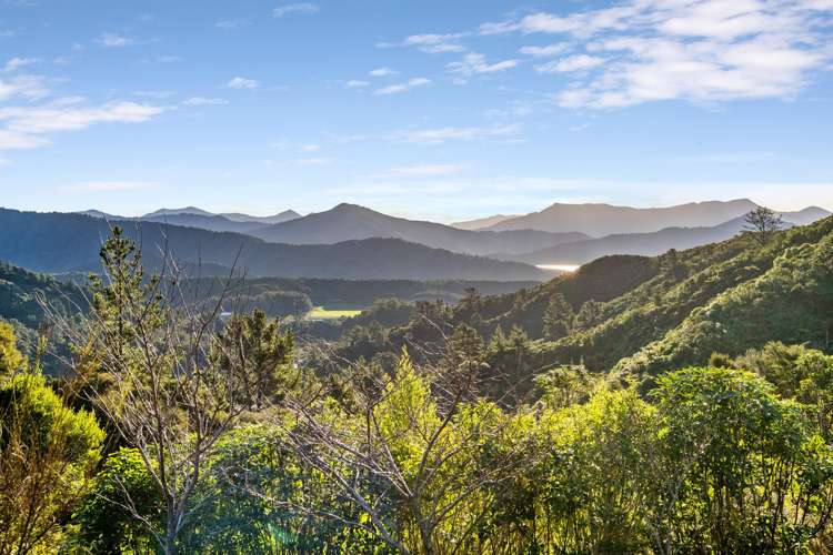 165 Boons Valley Road Picton_2