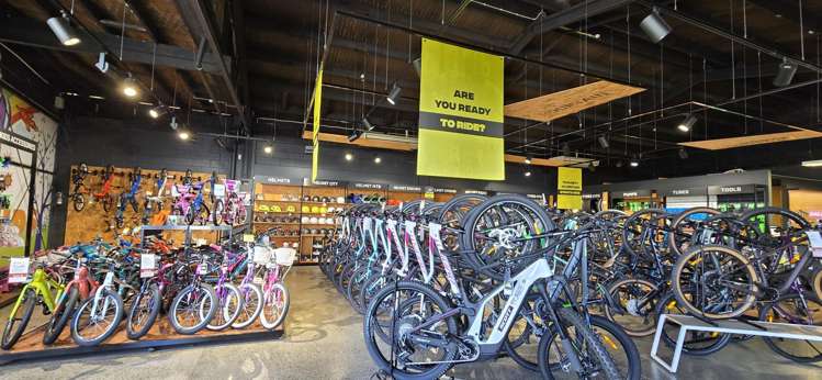 72 Barrys Point Road Takapuna_7