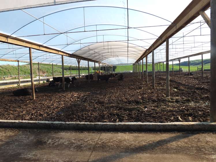 1402 Limehills Browns Road Winton Surrounds_12