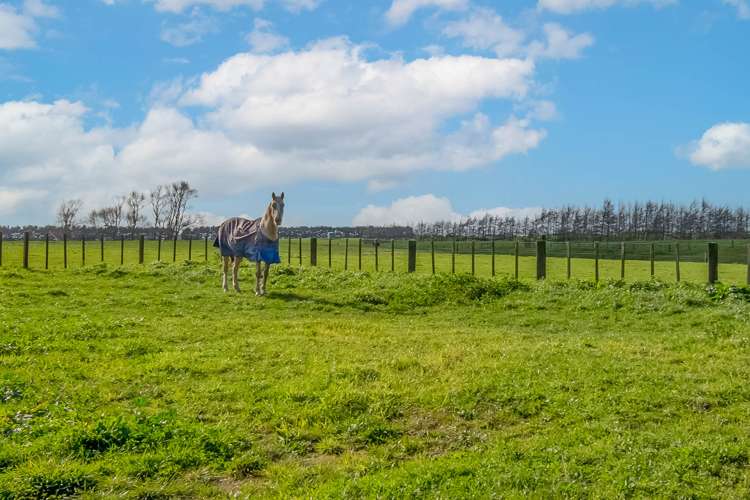 587 Inland North Road Onaero_19