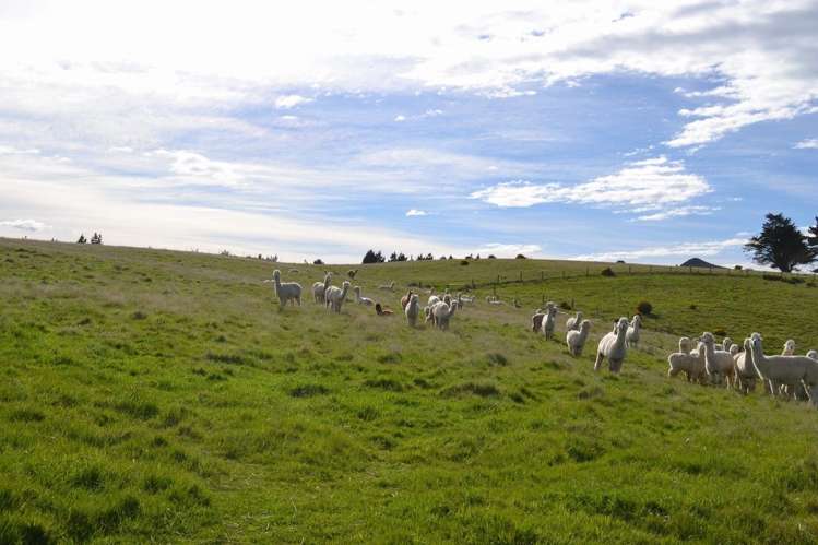 590 Portobello Road Company Bay_10