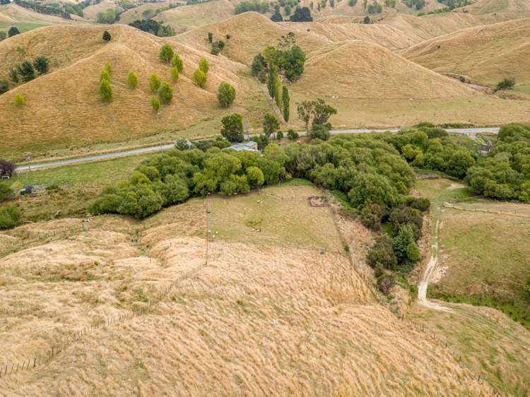 248 Jacksons Line Mauriceville_13