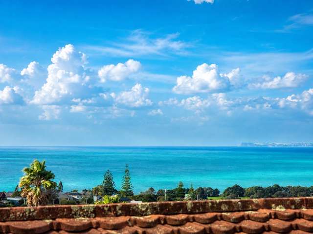 211 East Coast Road Castor Bay_4