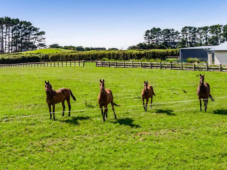 52 Climie Road Stratford_46