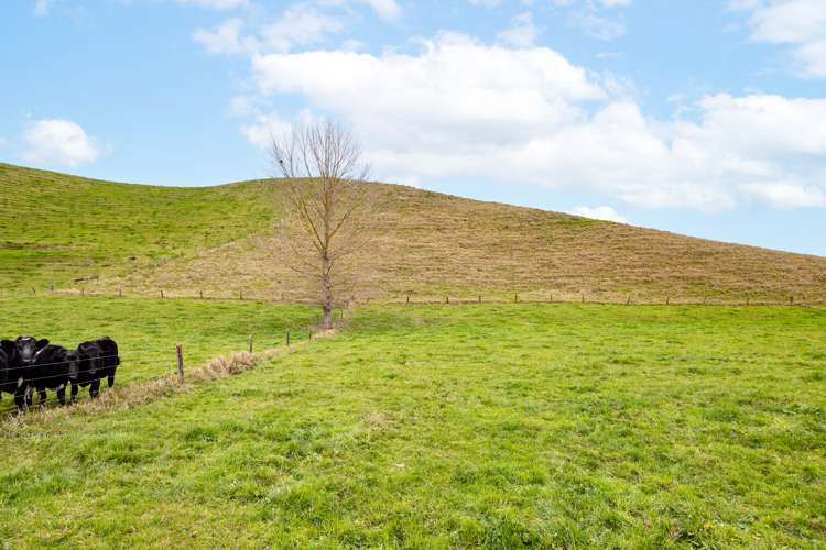 148 Flume Road Te Miro_25