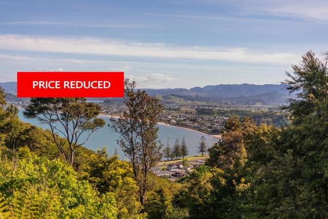 WHITIANGA FAMILY LIVING, SEA VIEWS & NATIVE BUSH