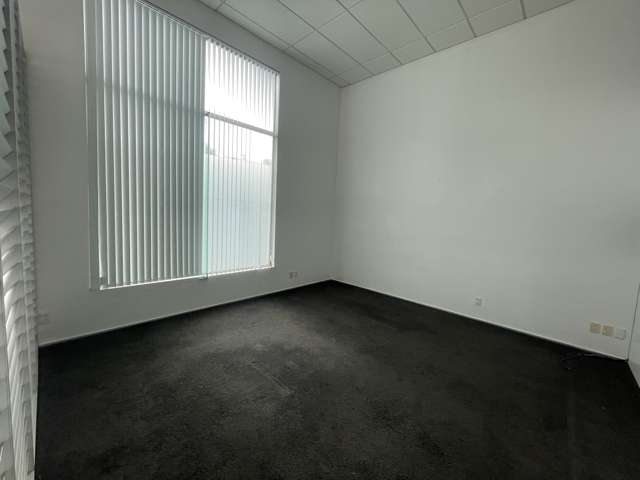 16 Normanby Road Mount Eden_4