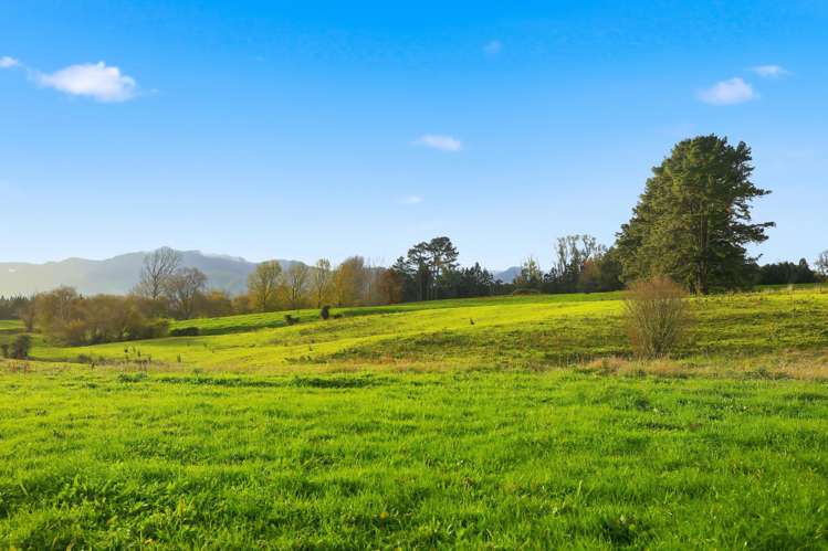70 Ford Rd Waihi_10