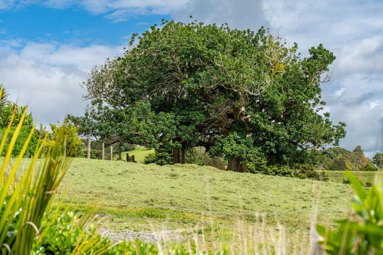 75 Kohinui Road Parua Bay_35
