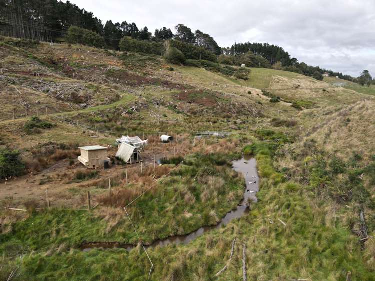37 Waikaretu Wairamarama Road Glen Murray_22
