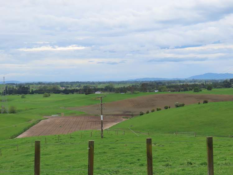 630 Grove Road Karamu_7