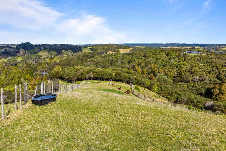 77 Tender Road Dairy Flat_22