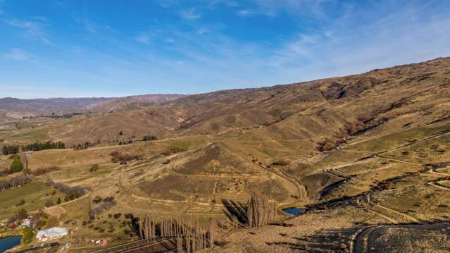 118A Jocelyn Road Bannockburn_3