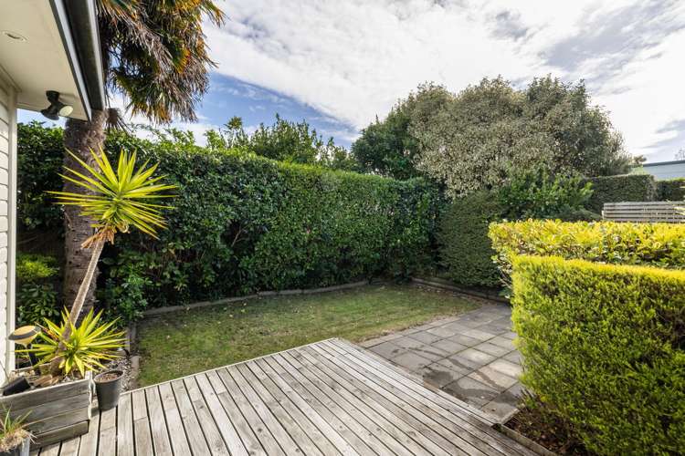 608 Albert Street Parkvale_9