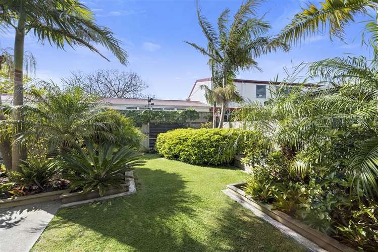 21 Tanner Street Tauranga South_4