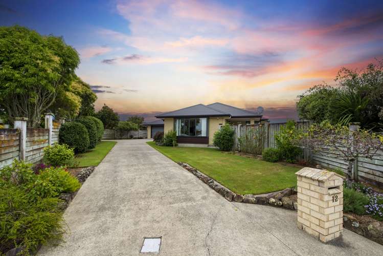 12 Corfe Castle Lane Levin_14