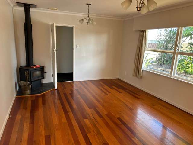 96 Elliot Street Pahurehure_1
