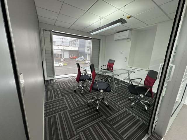 42 George Street Mt Eden_1