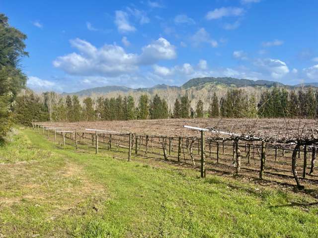 Small Orchard, Huge Crop