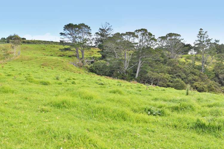 65 Rodney Road Pakiri_16