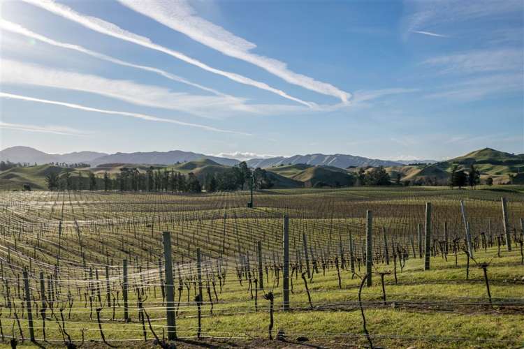 5468 State Highway 1 Seddon_0